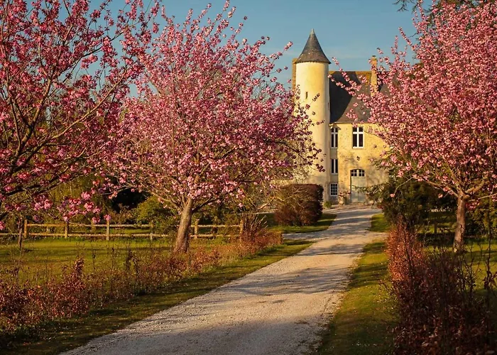 Hébergement de vacances Chateau De *