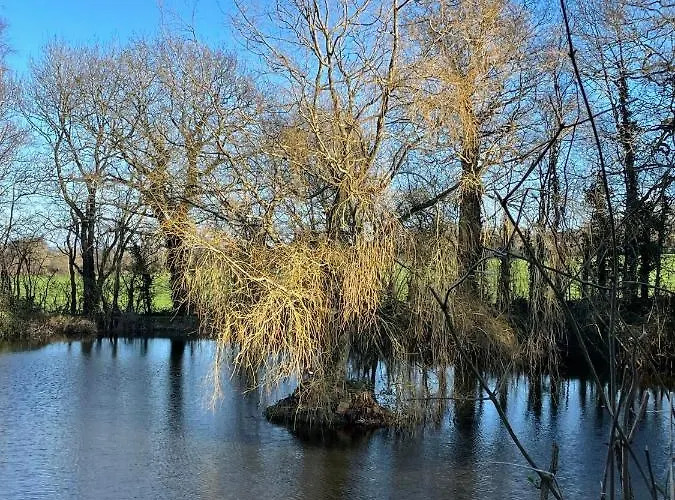 Chateau De Monfréville