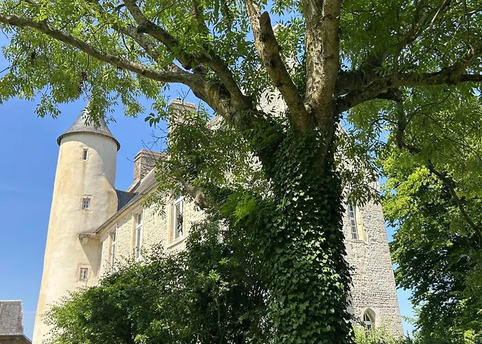 Hébergement de vacances Chateau De *